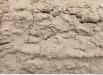 Image from  Free Sand textures from environment-textures.com - sand0001.jpg